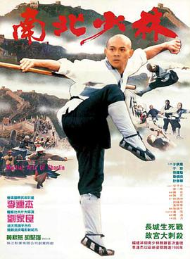 Martial Arts of Shaolin 南北少林