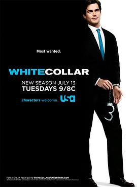 妙警贼探  第二季 White Collar Season 2