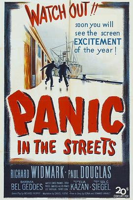围歼街头 Panic in the Streets