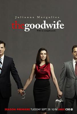 傲骨贤妻  第二季 The Good Wife Season 2