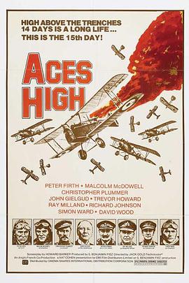 王牌飞行员 Aces High