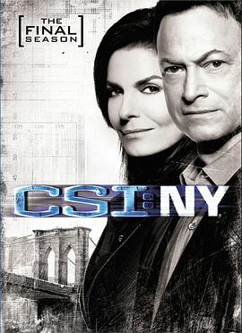 CSI: New York Season 9
