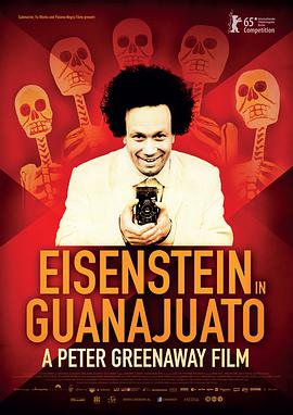 爱森斯坦在瓜纳华托 Eisenstein in Guanajuato