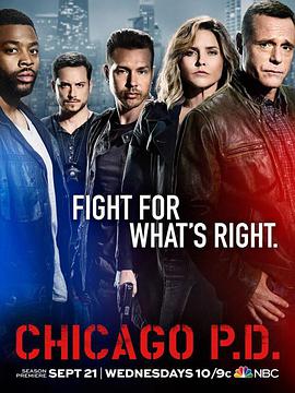 芝加哥警署 第四季 Chicago P.D. Season 4