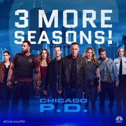 芝加哥警署 第七季