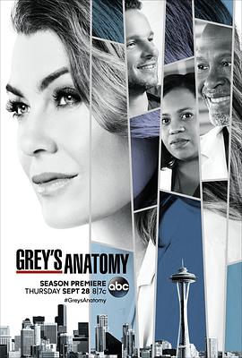 Grey's Anatomy Season 14