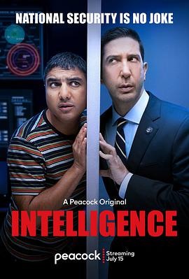 不靠谱情报局 第一季 Intelligence Season 1