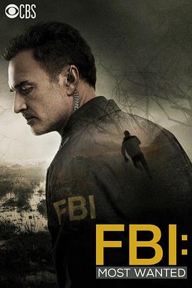 联邦调查局：通缉要犯 第一季 FBI: Most Wanted Season 1