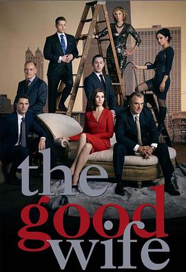 傲骨贤妻 第六季 The Good Wife Season 6