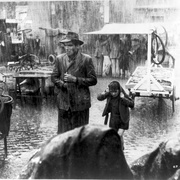 The Bicycle Thieves
