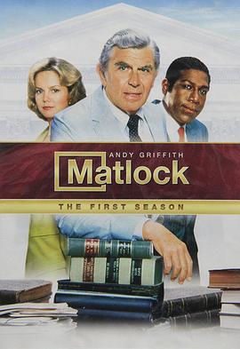 辩护律师 Matlock