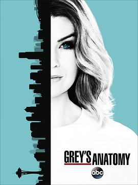 实习医生格蕾 第十三季 Grey's Anatomy Season 13