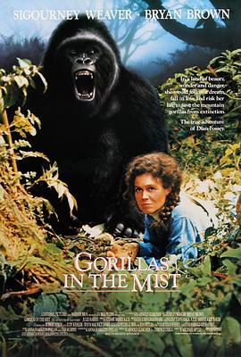 迷雾森林十八年 Gorillas in the Mist: The Story of Dian Fossey