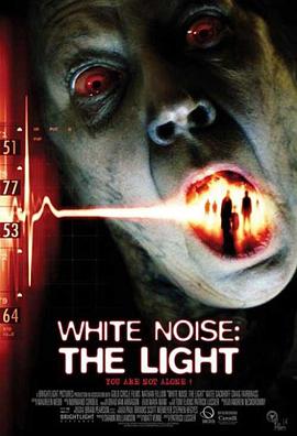 鬼讯号2：灵异透视 White Noise 2: The Light