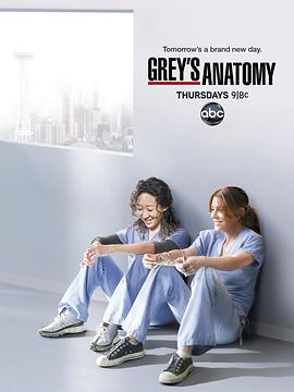 实习医生格蕾 第八季 Grey's Anatomy Season 8