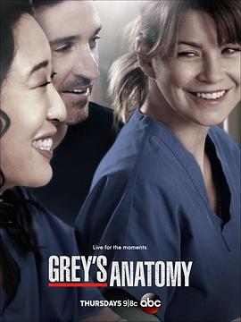 实习医生格蕾 第十季 Grey's Anatomy Season 10