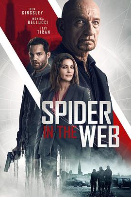 网中蜘蛛 Spider In The Web