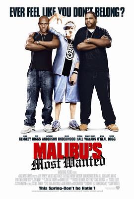 马里布绑票案 Malibu's Most Wanted
