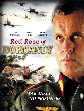 red rose of normandy