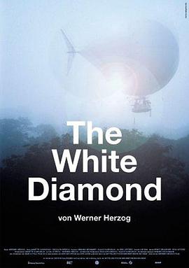 白钻石 The White Diamond