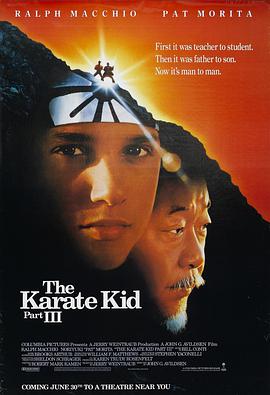 龙威小子3 The Karate Kid Part III