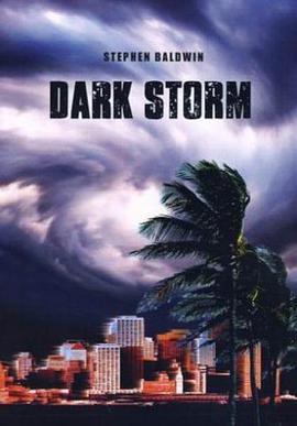黑色风暴 Dark Storm