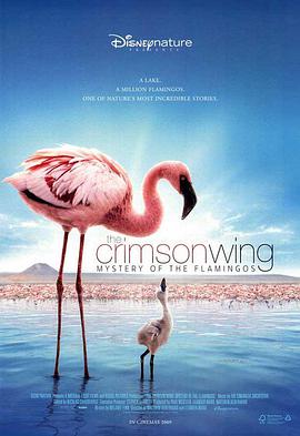 红色翅膀：火烈鸟故事 The Crimson Wing: Mystery of the Flamingos