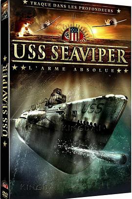 美国战舰 USS Seaviper
