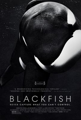 黑鲸 Blackfish