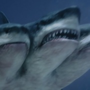 夺命三头鲨