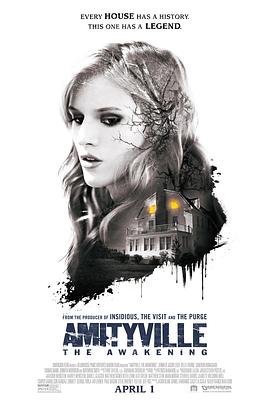 鬼哭神嚎：觉醒 Amityville: The Awakening