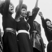 The Black Panthers: Vanguard of the Revolution
