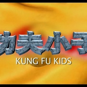 kung fu boy