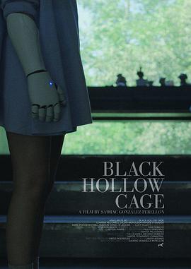 黑盒子 Black Hollow Cage