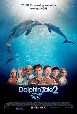 海豚的故事2 Dolphin Tale 2