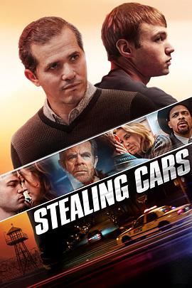 偷车 Stealing Cars