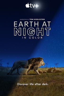 夜色中的地球 Earth at Night in Color