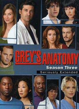 实习医生格蕾 第三季 Grey's Anatomy Season 3