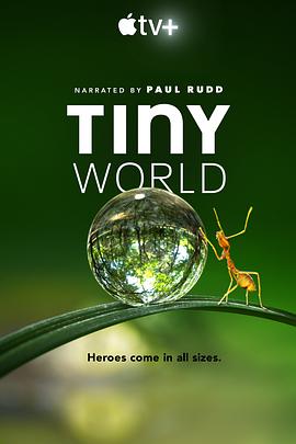 小小世界 Tiny World