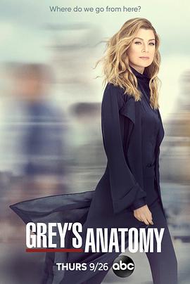 实习医生格蕾 第十六季 Grey's Anatomy Season 16