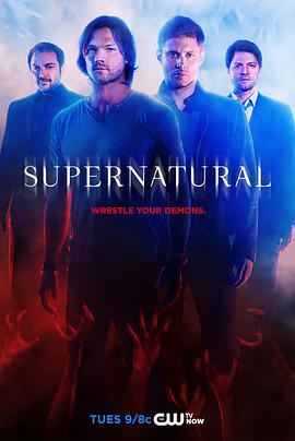 邪恶力量 第十季 Supernatural Season 10