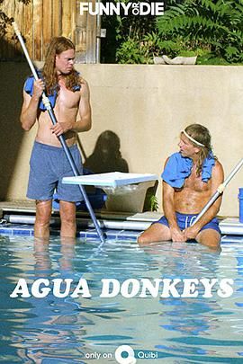 水驴清洁公司 Agua Donkeys