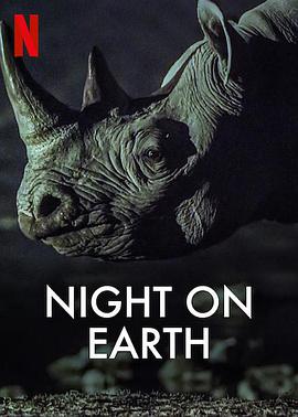 地球的夜晚 Night on Earth