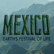 Mexico: Earth's Festival Of Life