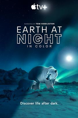 夜色中的地球 第二季 Earth at Night in Color Season 2