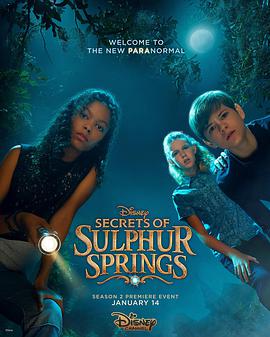 硫磺泉镇的秘密 Secrets of Sulphur Springs