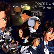 You're Under Arrest!