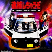 You're Under Arrest!
